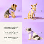 Downtown Pet Supply Step in Dog Harness - Image 6