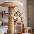 PowerKing Natural Sisal Replacement Scratching Post, 4 Pieces M8 Cat Scratch - Image 6