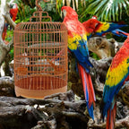 VILLCASE Round Bird Cage for Small Birds, 9.8" X 17.6 “ Plastic Travel Carrier - Image 5