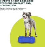 FitPAWS® K9FITbone® - Image 6