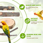12PCS Natural Wood Bird Perches - Image 4