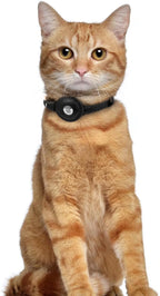 OOPSDOGGY Leather AirTag Cat Collar - Image 6