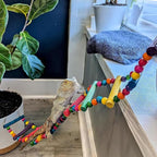 DS. DISTINCTIVE STYLE Bird Ladder Toys Coloured Flexible Parrot Swing Bridge - Image 5