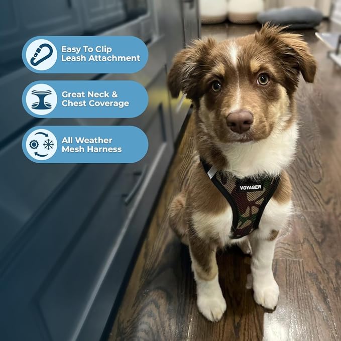 Best Pet Supplies - Image 6