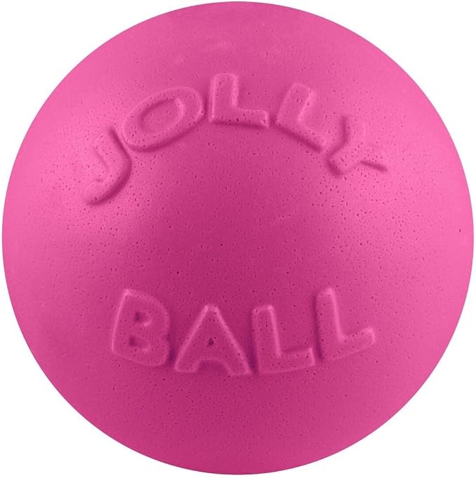 Jolly Pets Bounce-n-Play Dog Toy Ball, 8 Inches/Large - Image 4
