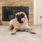 Hyper Pet MINI Tennis Balls for Dogs Interactive Toys work - Image 6