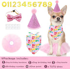 PET SHOW 4Pcs Pink Dog Birthday Hat - Image 4