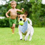 New to The Crew Dog Bandana Puppy Gift - Image 5