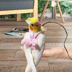 Dnoifne Parrot Harness and Leash, Adjustable Training Design Anti-Bite - Image 2