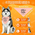 2 Pack Big Sister Big Brother Dog Bandanas, Adjustable Pet Bandana - Image 3