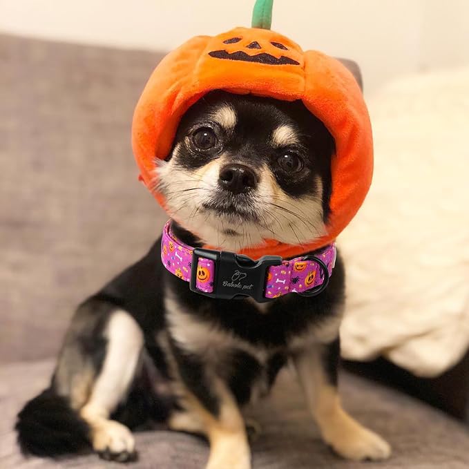 Halloween Dog Collar, Cute Pumpkin Bat Pattern Halloween Purple Puppy Collar - Image 3