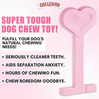 Bullibone Nylon Dog Chew Toy for Aggressive Chewers - Image 2