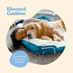 Orthopedic Sofa Dog Bed - Image 4