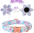 Lionheart Glory Purple Dog Collar - Image 3