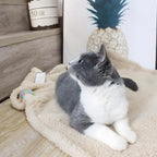 furrybaby 2-in-1 Puppy Blankets - Image 3