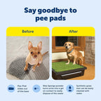 PetSafe Pet Loo Portable Dog Potty - Image 3