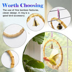 Bamboo Ring Bird Swing Perch, Large Circle Cage Hanging Toys, Bird Perch - Image 5