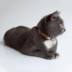Leather Cat Collar with Buckle and Removable Bell - Image 6