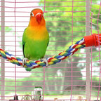 Bird Rope Perches for Parrots, Cockatiels, Budgie Cages Comfy Birds Colorful - Image 2