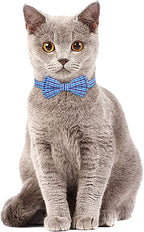 Faleela 2 Pack/Set Cat Collar - Image 4