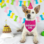 Dog Birthday Bandana Set, Rose Pink Birthday Girl Decorations, HBD Party - Image 5