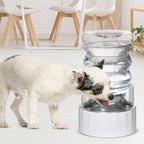 RIZZARI Dog Water Bowl Dispenser: 5L Large Stainless Steel Gravity Feeder - Image 8