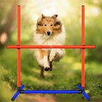 Dog Agility Equipment - Image 5