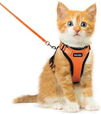 Dooradar Cat Harness and Leash Set, Escape Proof Safe Adjustable Kitten Vest - Image 4