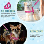 SlowTon No Pull Small Dog Harness and Leash Set, Puppy Soft Vest Harness Neck & - Image 3