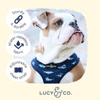 Lucy & Co. Reversible Dog Harness Walking Halter - Image 4