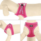 YIMEIS Dog Harness and Leash Set, No Pull Soft Mesh Pet Harness, Reflective - Image 3