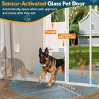 Automatic Sliding Glass Dog Door - Image 5