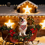 Christmas Plaid Dog Bandana–Red and Green Checked Triangle Scarf - Image 4
