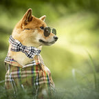 Dog Collar, Bow Dog Collar Plaid Pet Collar Dog Cute Pet Bow Soft Girl or Boy - Image 5