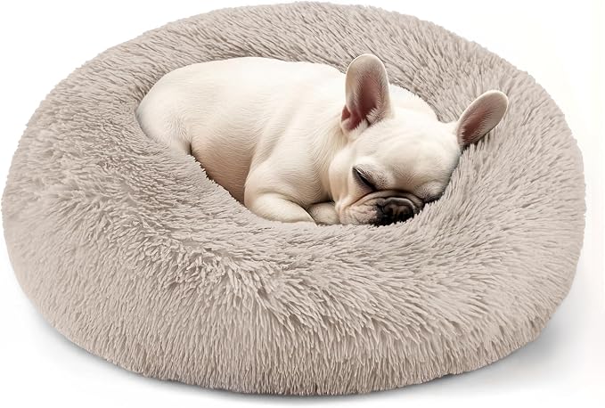 Hoewina Dog & Cat Bed, 20in Cat Beds by Hoewina