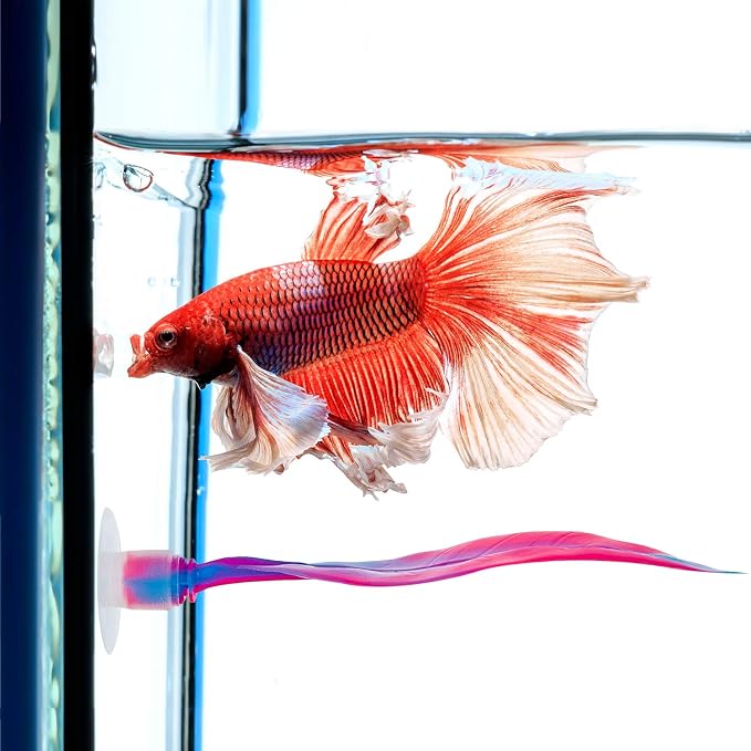 WILLBOND 2 Pcs Pink Silicone Betta Fish Bed Leaf Hammock Betta Fish Tank - Image 4
