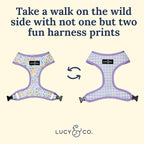 Lucy & Co. Cute Reversible Dog Harness Walking Halter - Image 3