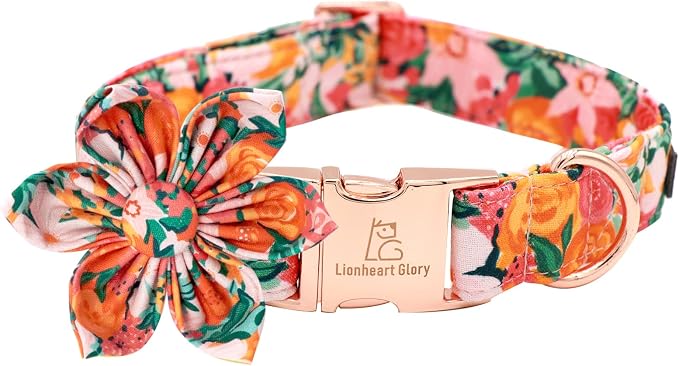 Lionheart Glory Dog Collar, Dog Collar by LionheartGlory