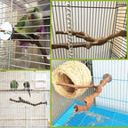 PINVNBY Parrot Perches Natural Birds Stand Wild Grape Stick Grinding Paw - Image 2