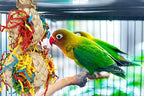 2PCS Bird Foraging Toys, Parrot Shredding Chewing Shredder Hanging Toys - Image 3