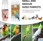 No Mess Bird Feeder Water Dispenser Set, Bird Feeder - Image 3