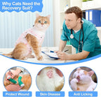 Cat Recovery Suit Female, Breathable Cat Onesie After Surgery Female - Image 7