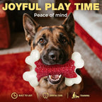 10-Pack Tough Dog Toys, Toys for Aggressive Chewers Large Breed, Chew Dogs - Image 7