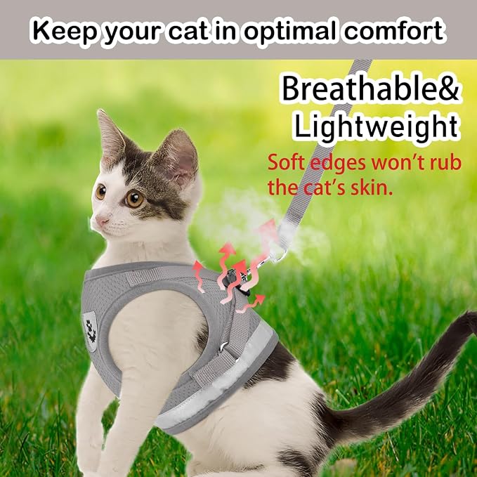 Cat Harnesses and Puppy Harness - Image 3