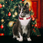 Christmas Cat Collar-2 Pack Cat Collar Red and Green Linnet - Image 5