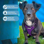 Voyager Step-in Pet Harness - Image 3