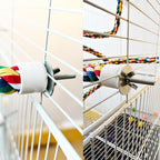 24-Inch Bird Rope Perch + 2 Volcanic Stone Bird Stands - Image 6