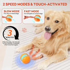 Interactive Dog Toys, Random Path Electric Automatic Moving and Rolling Dogs Toy - Image 4