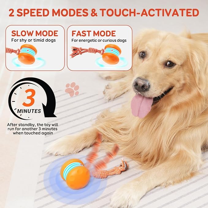 Interactive Dog Toys, Random Path Electric Automatic Moving and Rolling Dogs Toy - Image 4