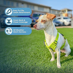 Best Pet Supplies Voyager Step-in Air Harness - Image 3
